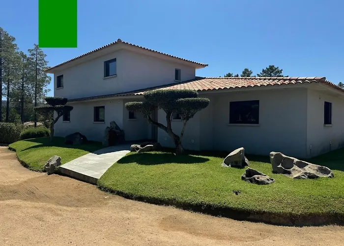 别墅 - Porto-vecchio - Piscine Privee 维琪奥港